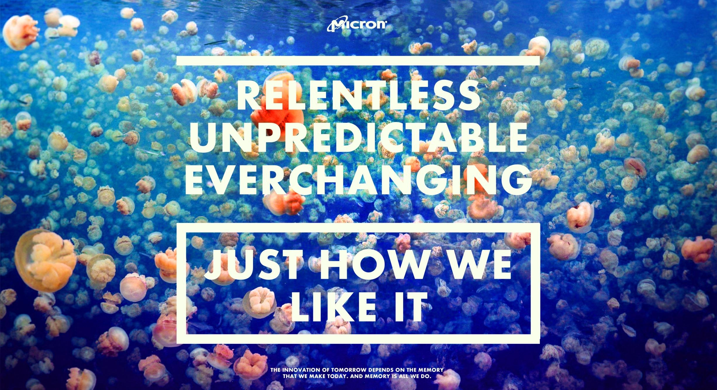 Micron “Relentless, unpredictable, everchanging” jellyfish poster