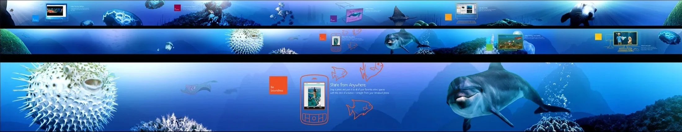 Sharing screen animation