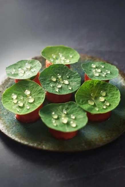 Leaf plates